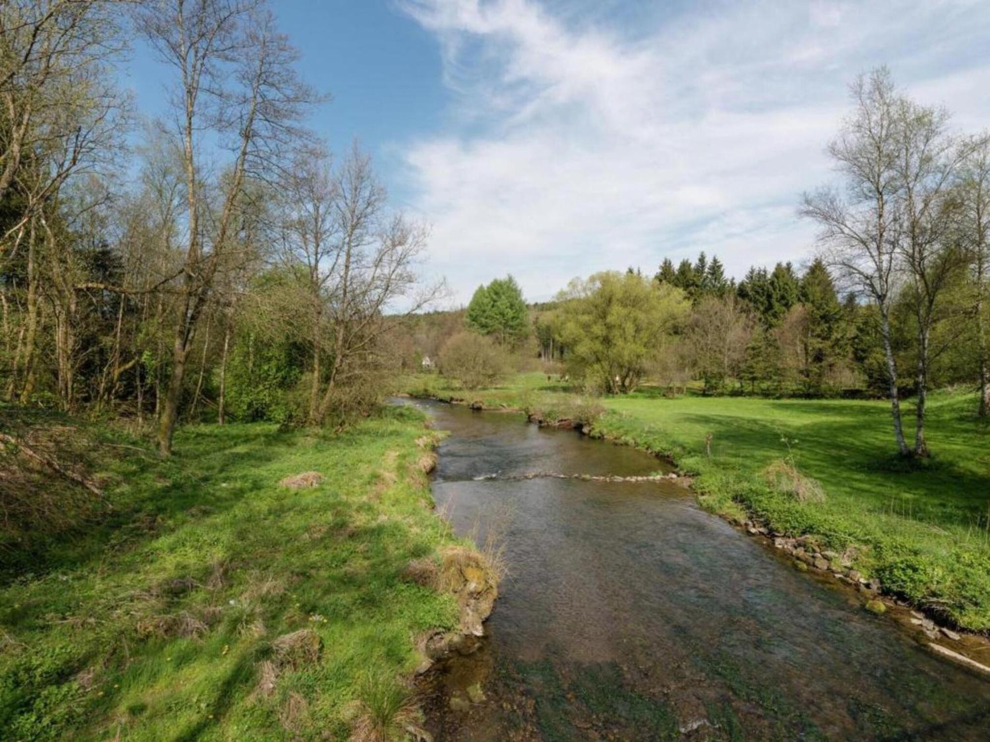 Comfy Holiday Home In Burg Reuland With Sauna Terrace Bbq Eksteriør bilde